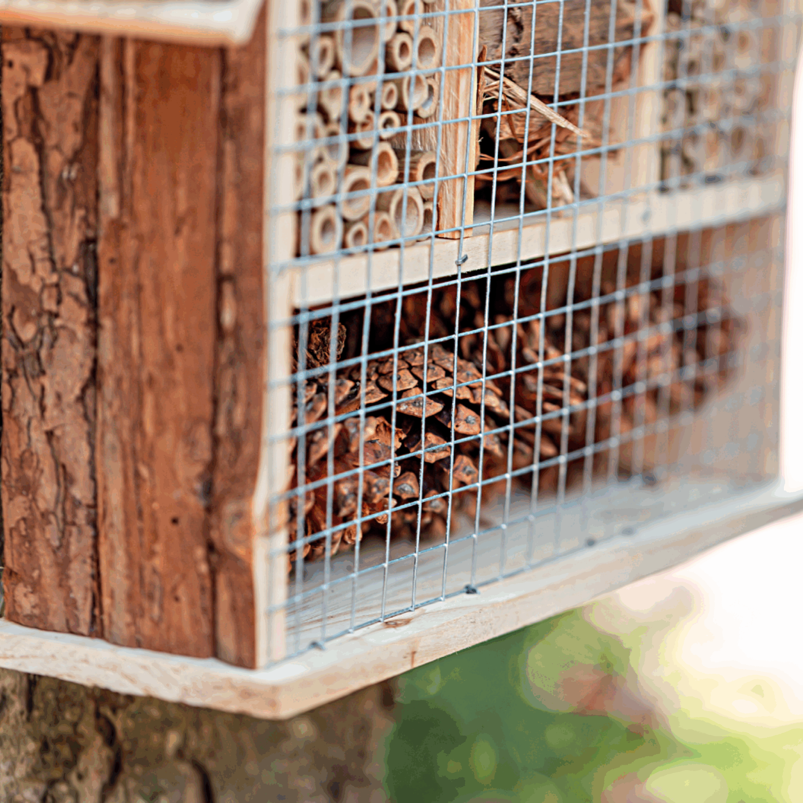 Natura XL - Afbeelding 4