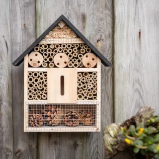 Insectenhuis Basic L - Zwart