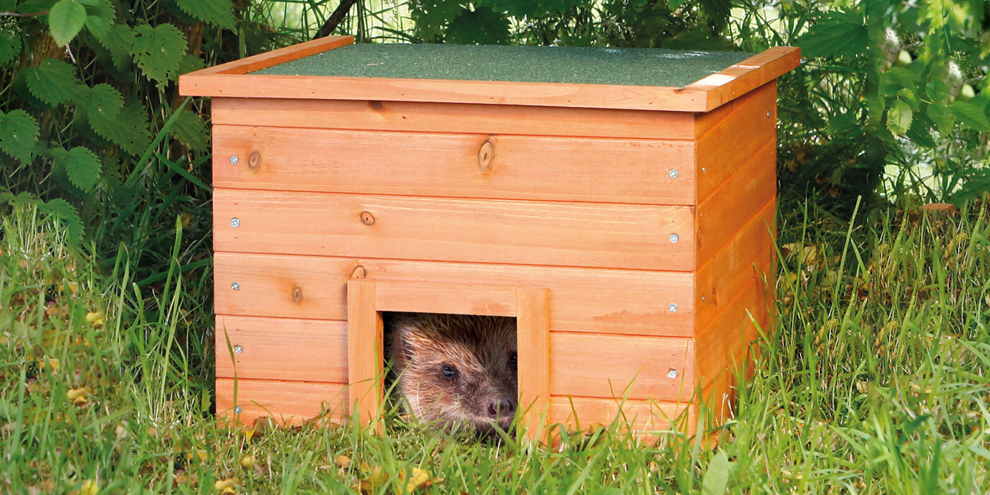 Alles voor de egel in jouw tuin - Birdsupply.nl