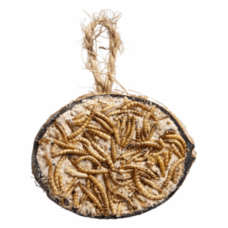 Halve Kokosnoot - Meelwormen