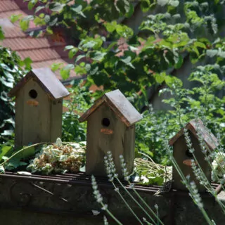 Vogelhuisje - Koper L sfeer