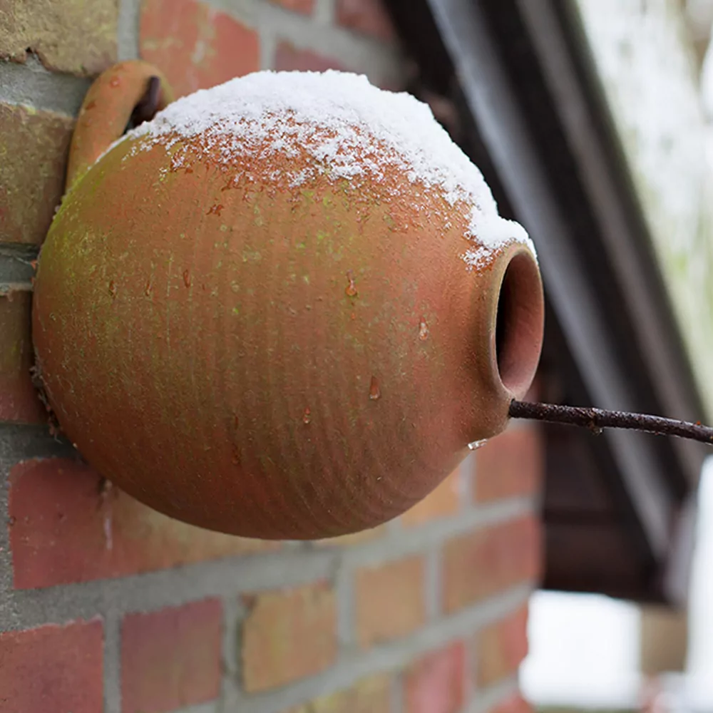 Vogelpot rond - pimpelmees - Afbeelding 7