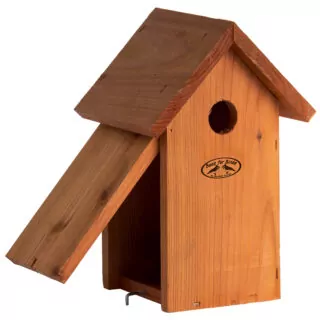 Nestkast Pimpelmees Douglas Hout