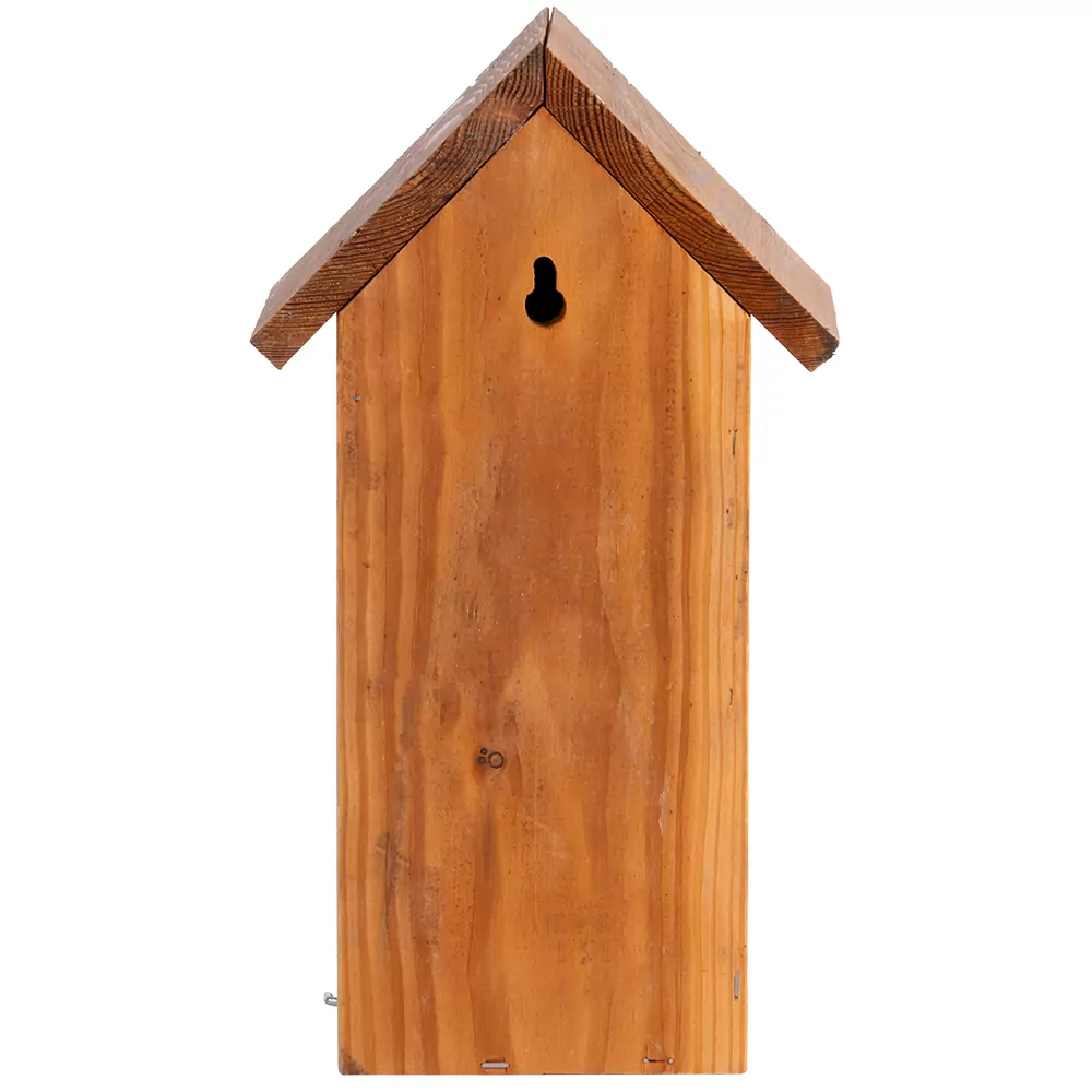 Nestkast Koolmees Douglas Hout