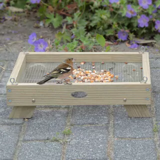 voedertafel op de grond