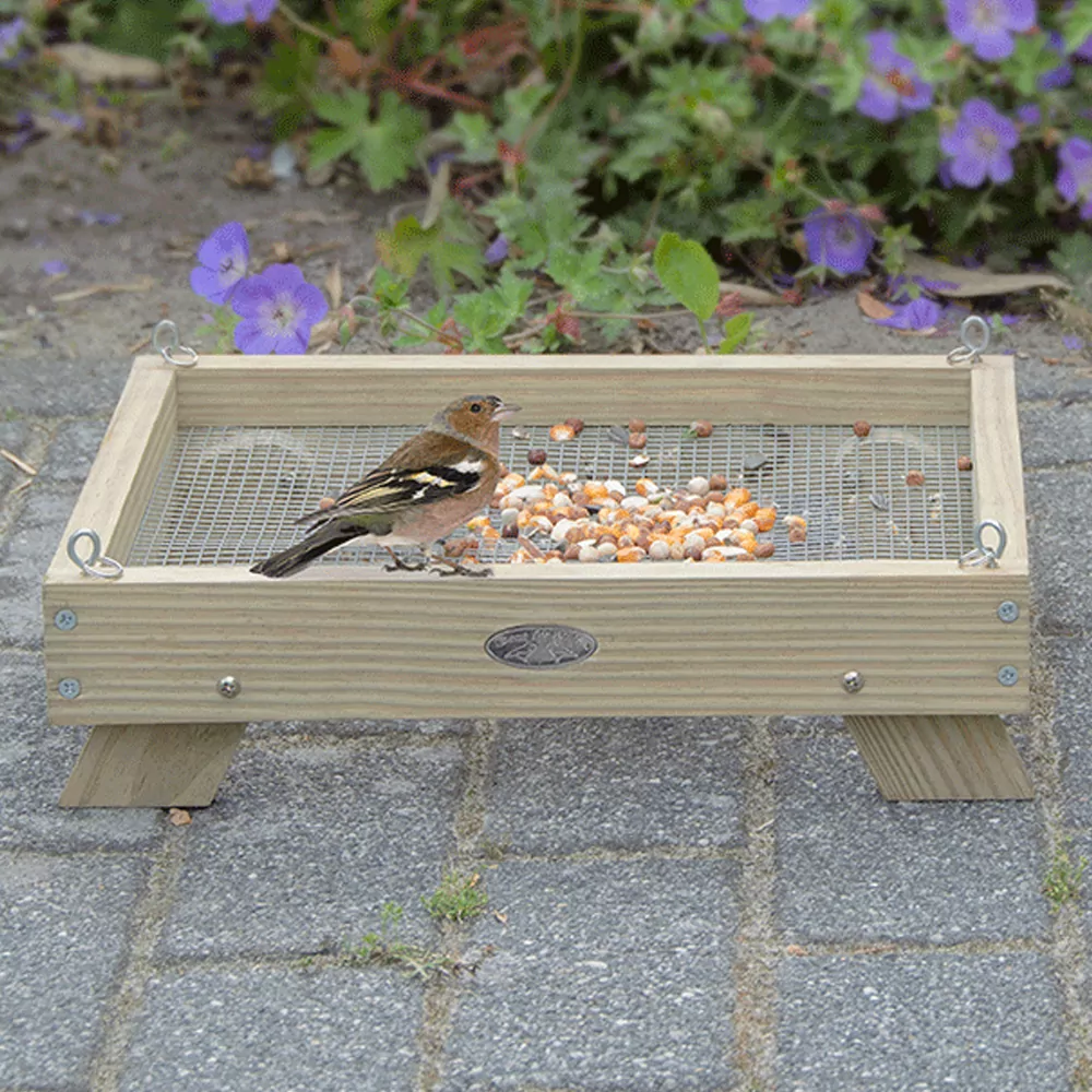 voedertafel op de grond