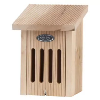 Vlinderkast van dik hout voorkant