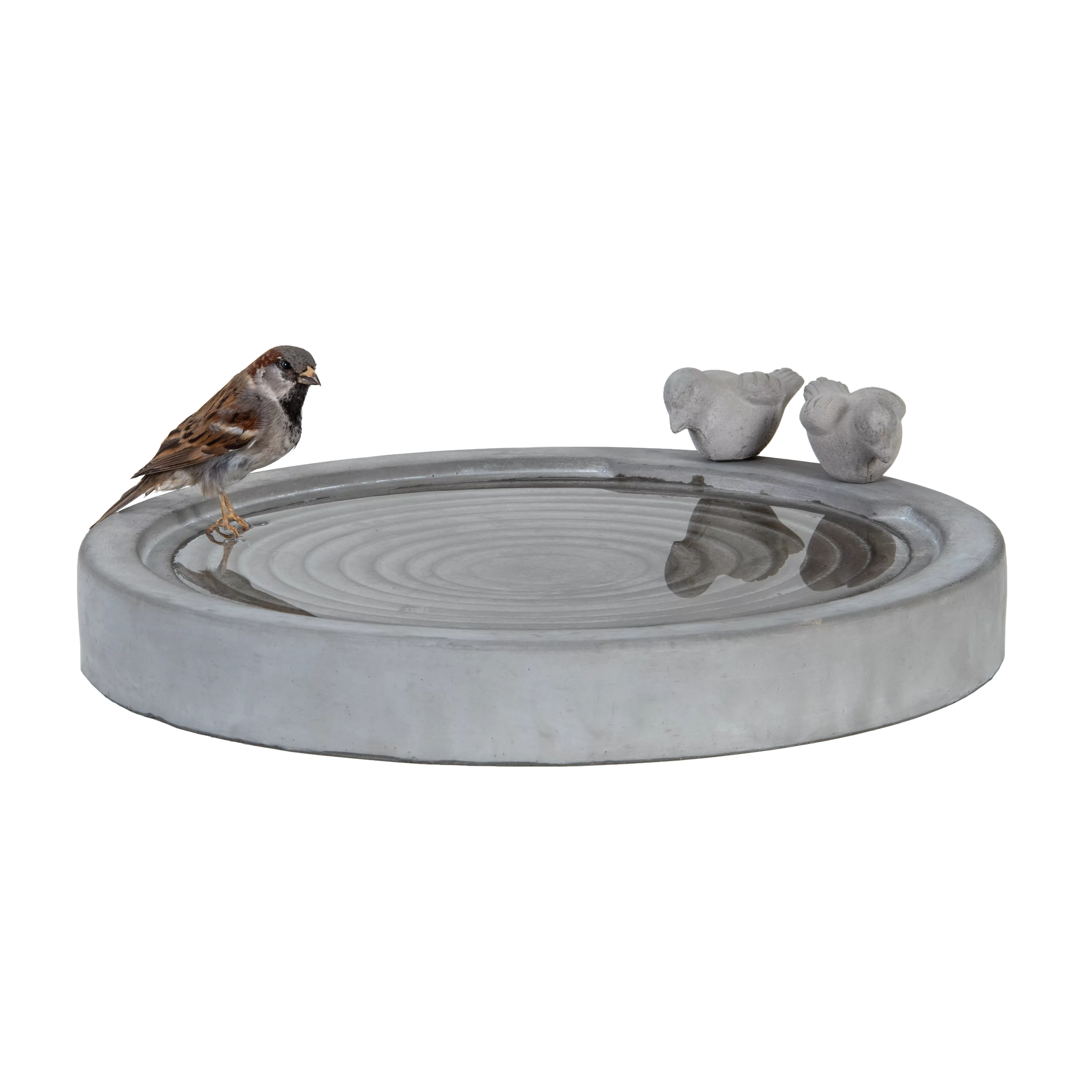 betonnen vogelbad gevuld met water met vogeltje op de rand