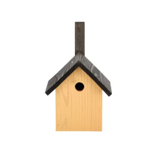 vogel huisje met goud en zwart