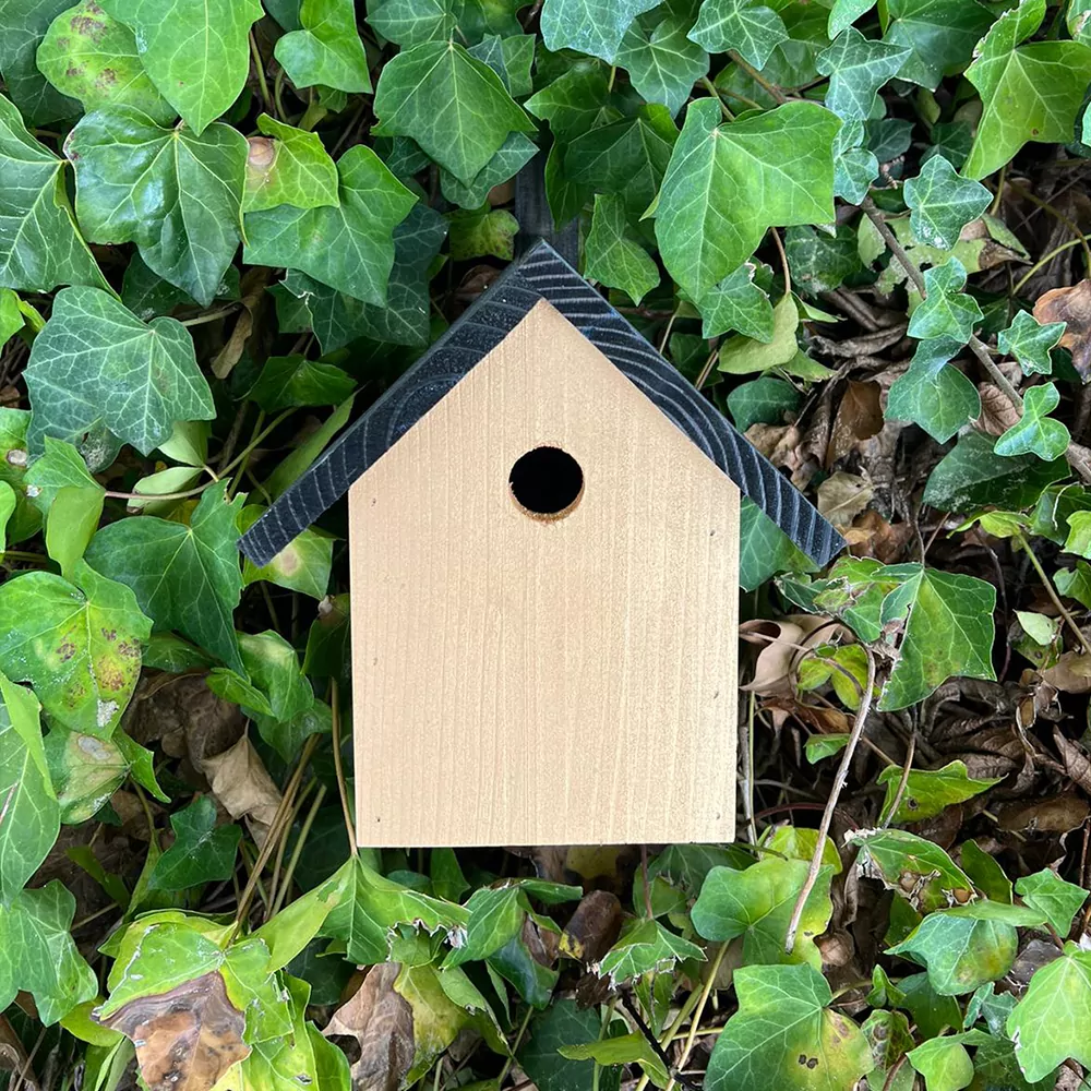 nest kast met zwart en goud gekleurd hout in bossage vooraanzicht