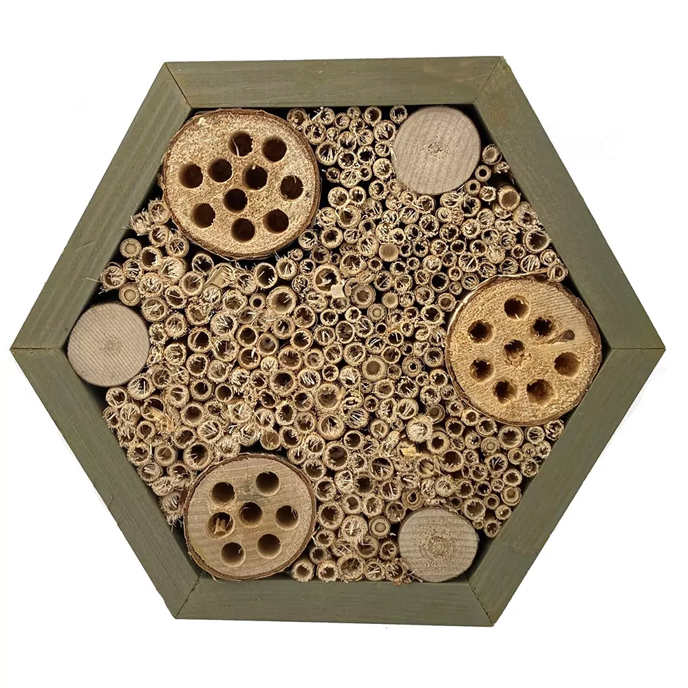 voorkant van een huisje voor bijen in de vorm van een hexagon