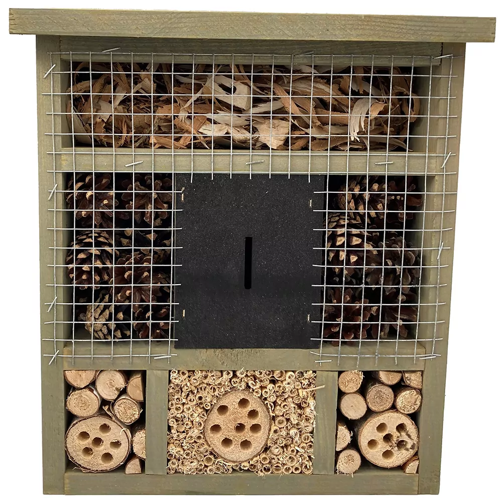 grijs groen insecten huis voorkant