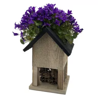 insectenhotel met plantenbakje met paarse bloemetjes erin