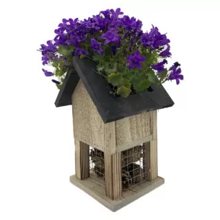 insectenhotel met plantenbakje met paarse bloemetjes erin
