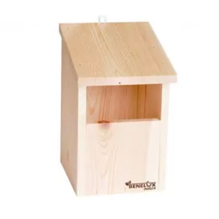 Roodborstje - Hout