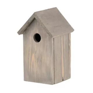 Koolmees Grijs Hout