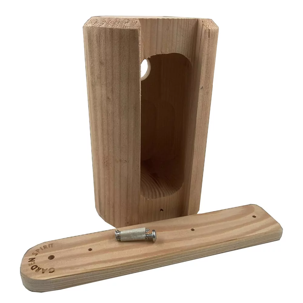 Lariks Hout - Koolmees - Afbeelding 5