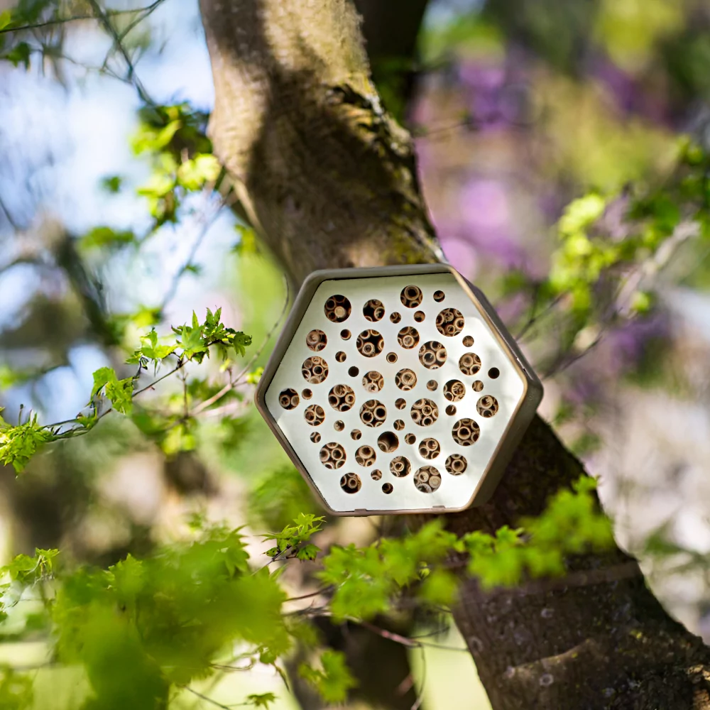 Bijenhotel Hive - Groen - Afbeelding 2