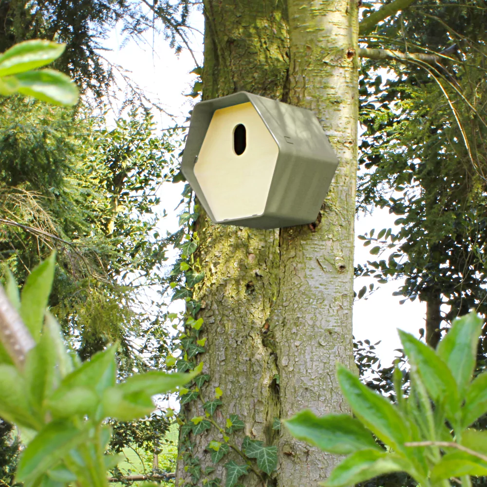 Hive Ovaal - Groen - Afbeelding 2