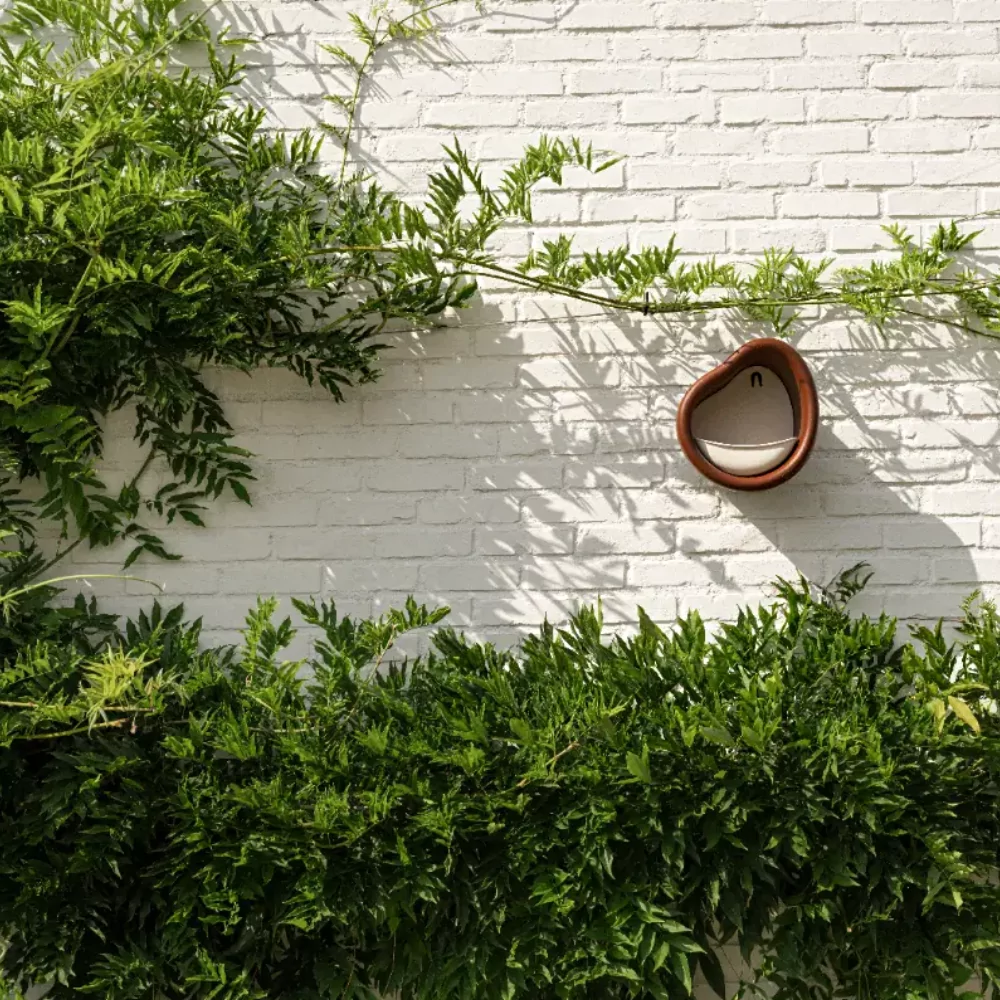 Voederhuis Organic - Kastanje Bruin - Afbeelding 6